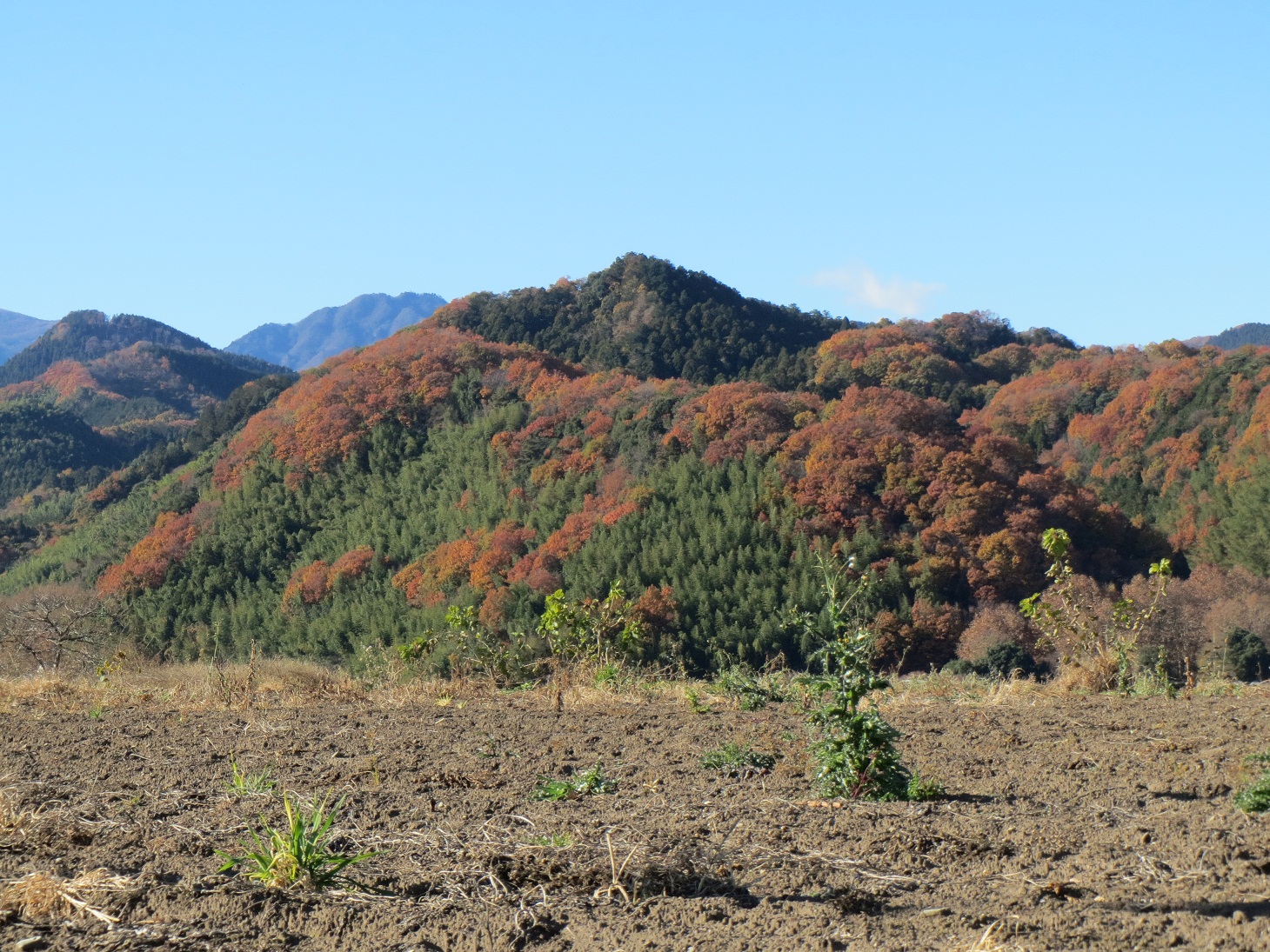 2013.11.29小幡富士