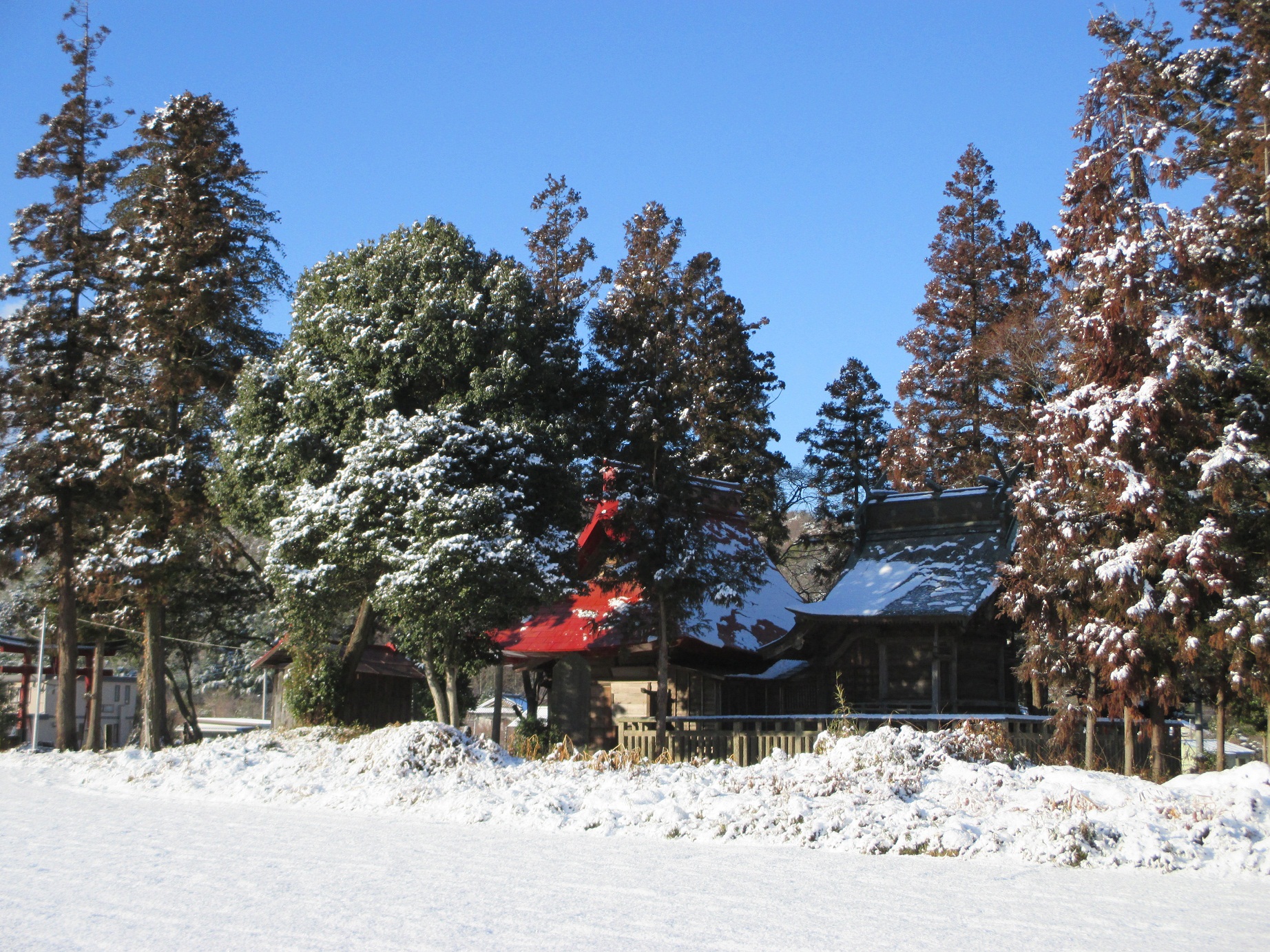 2014.2.5赤城神社