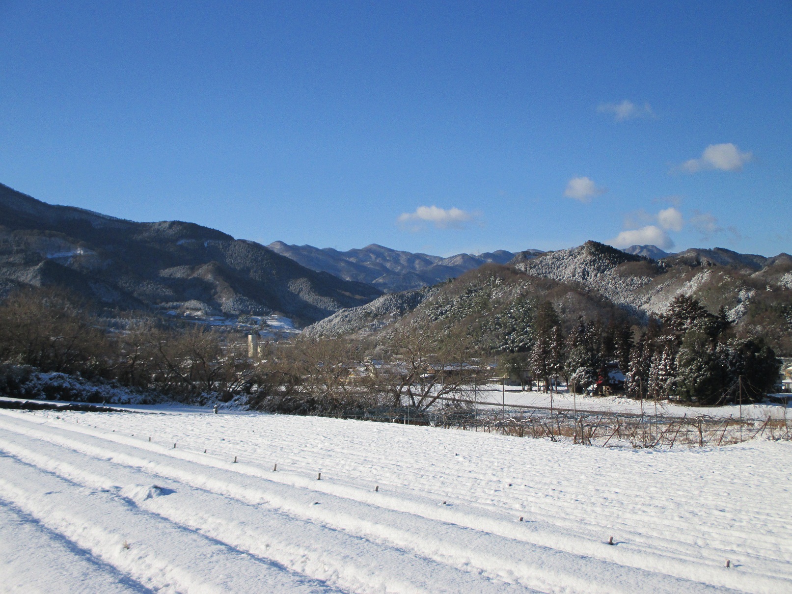 2014.2.5小幡富士と御荷鉾の山々