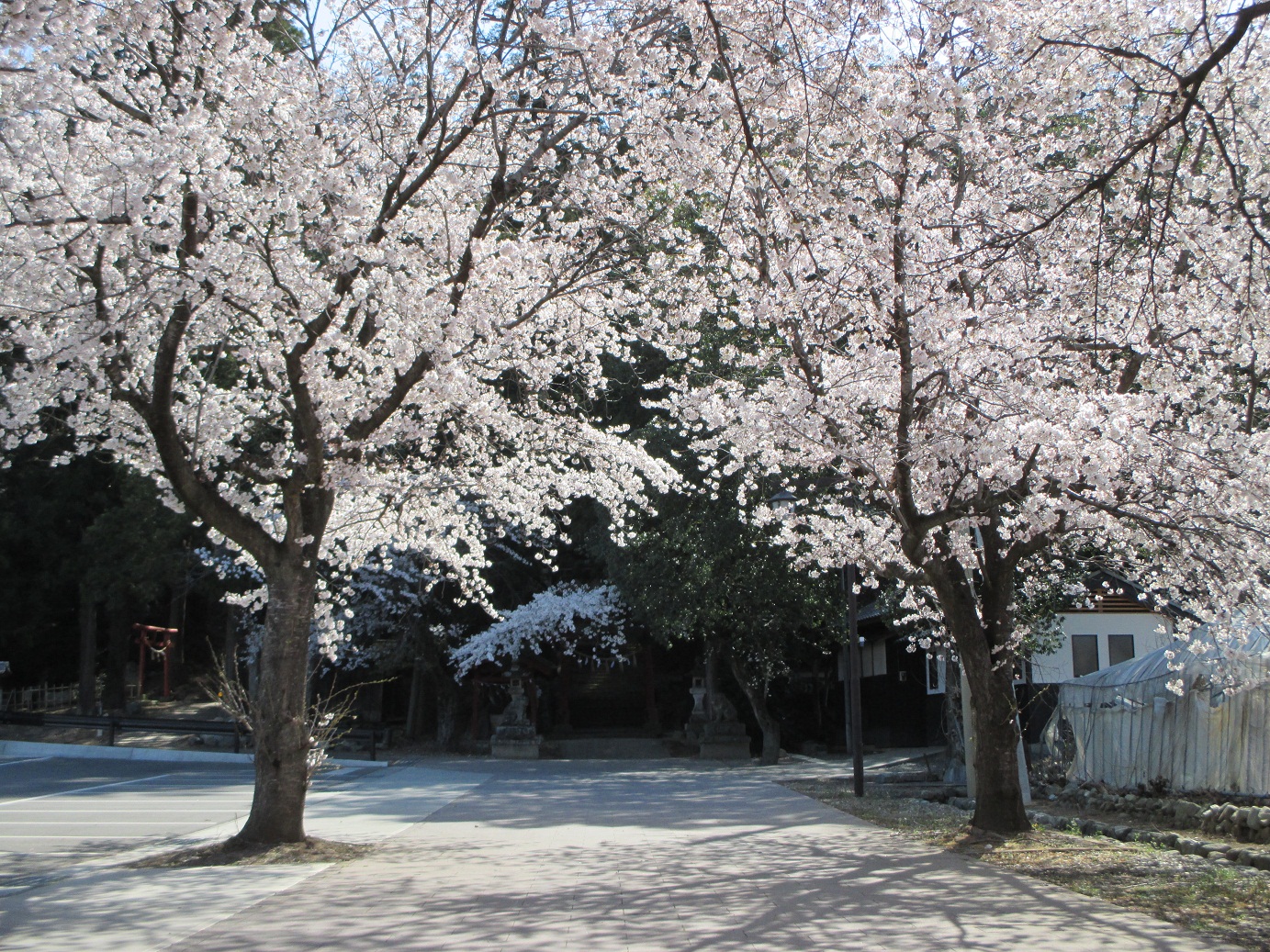 2014.4.7八幡神社