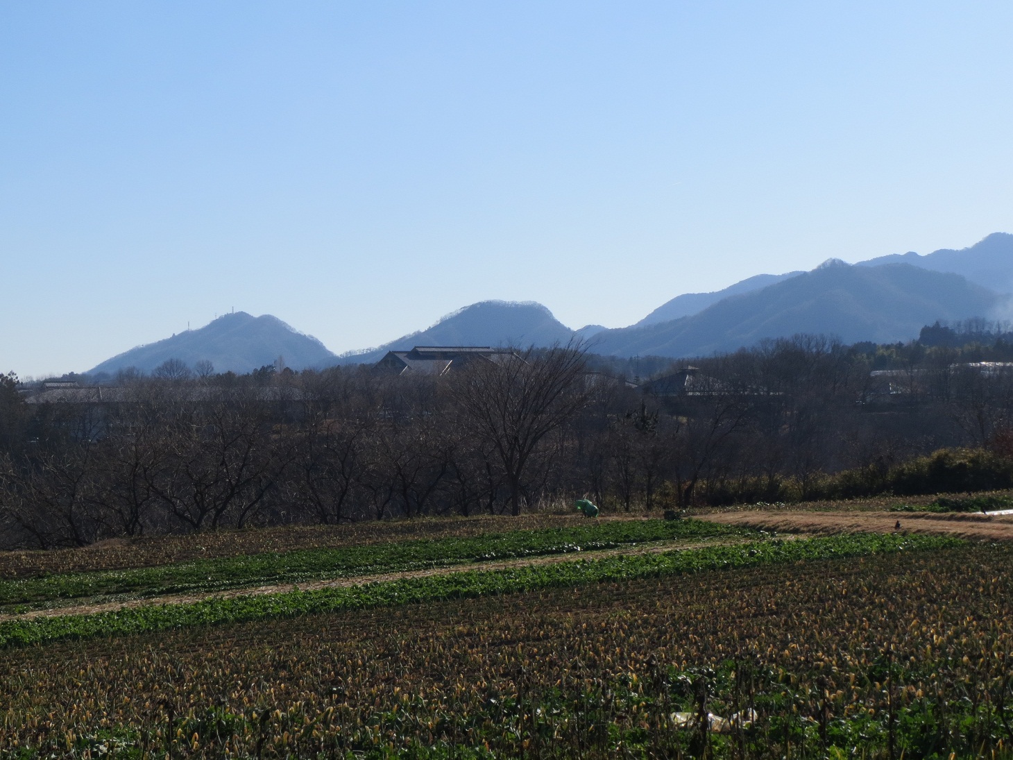 20140107牛伏山、城山