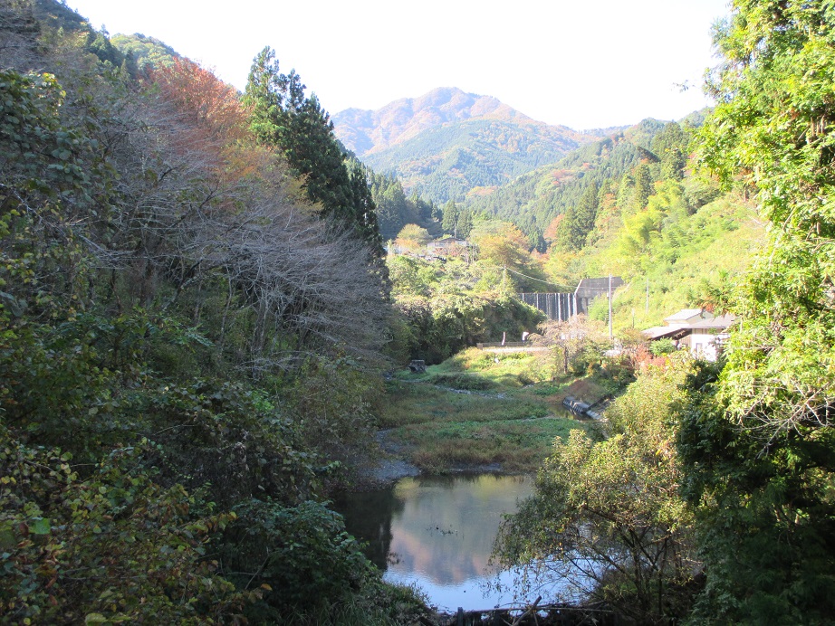 2016.11.4稲含山