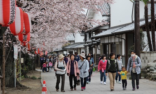 桜並木を歩く参加者