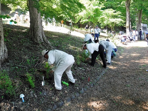 植栽する大勢の参加者