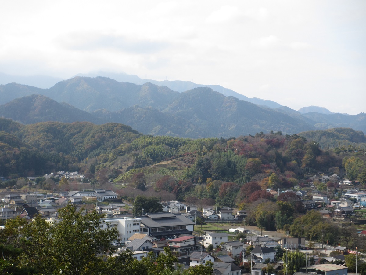 八幡山からの展望、手前が紅葉山です