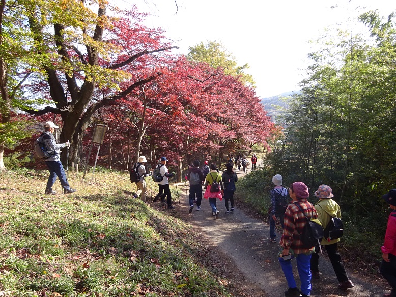 秋色に染まる「紅葉山公園」
