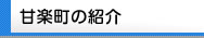 甘楽町の紹介