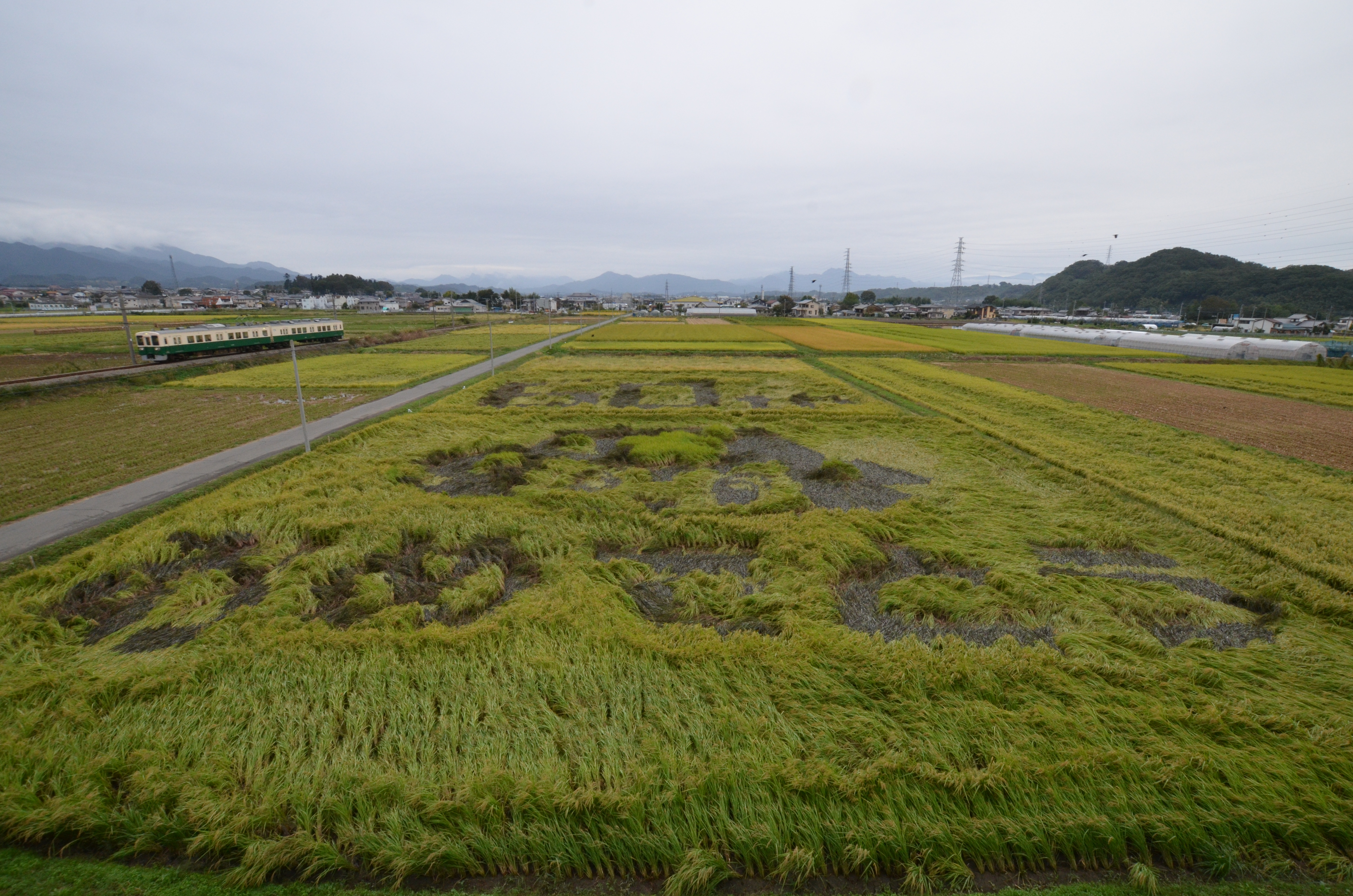 甘楽町 甘楽町発足60周年記念事業 田んぼアート