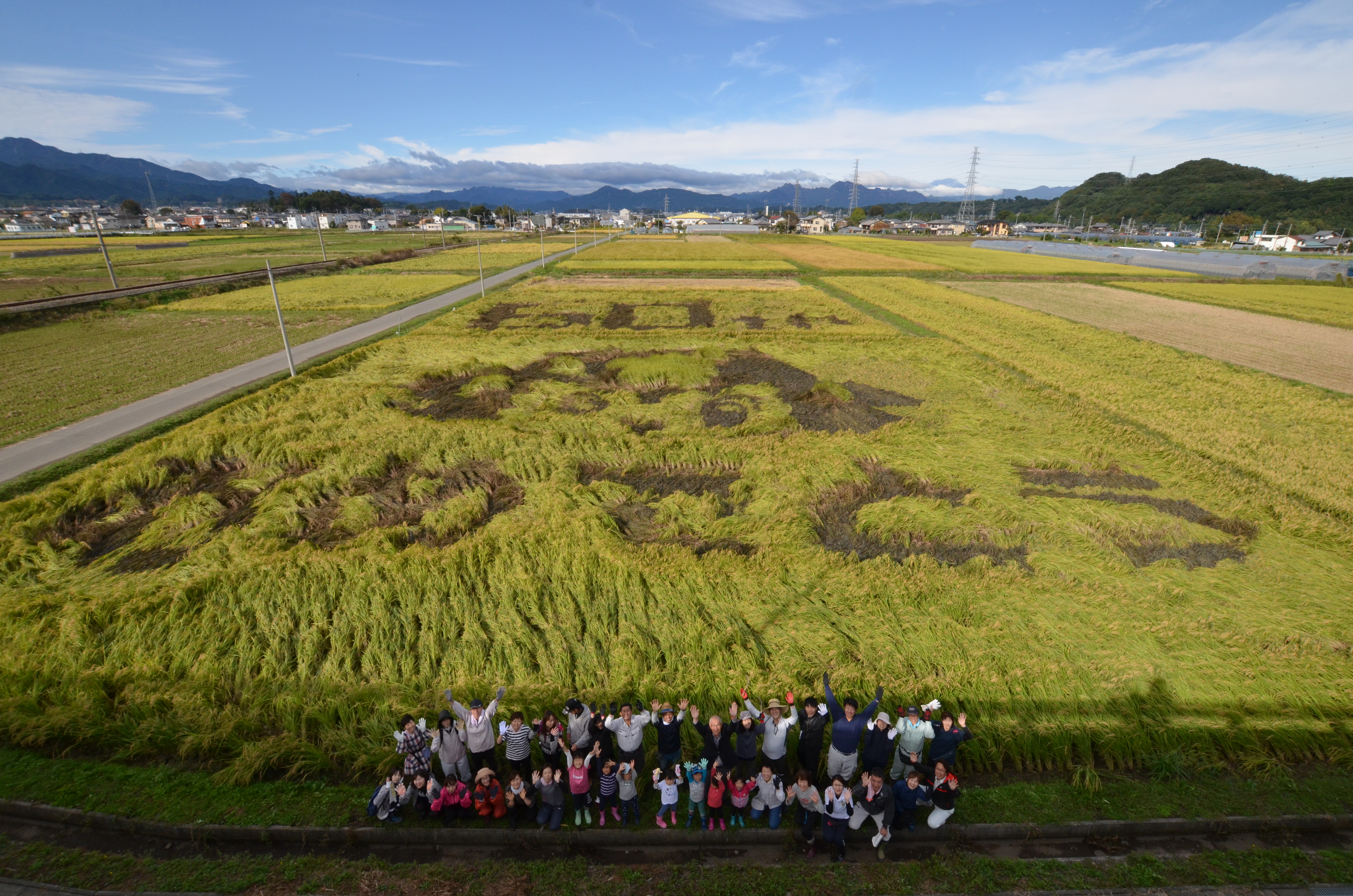 田んぼアート稲刈り前（１０月２０日）