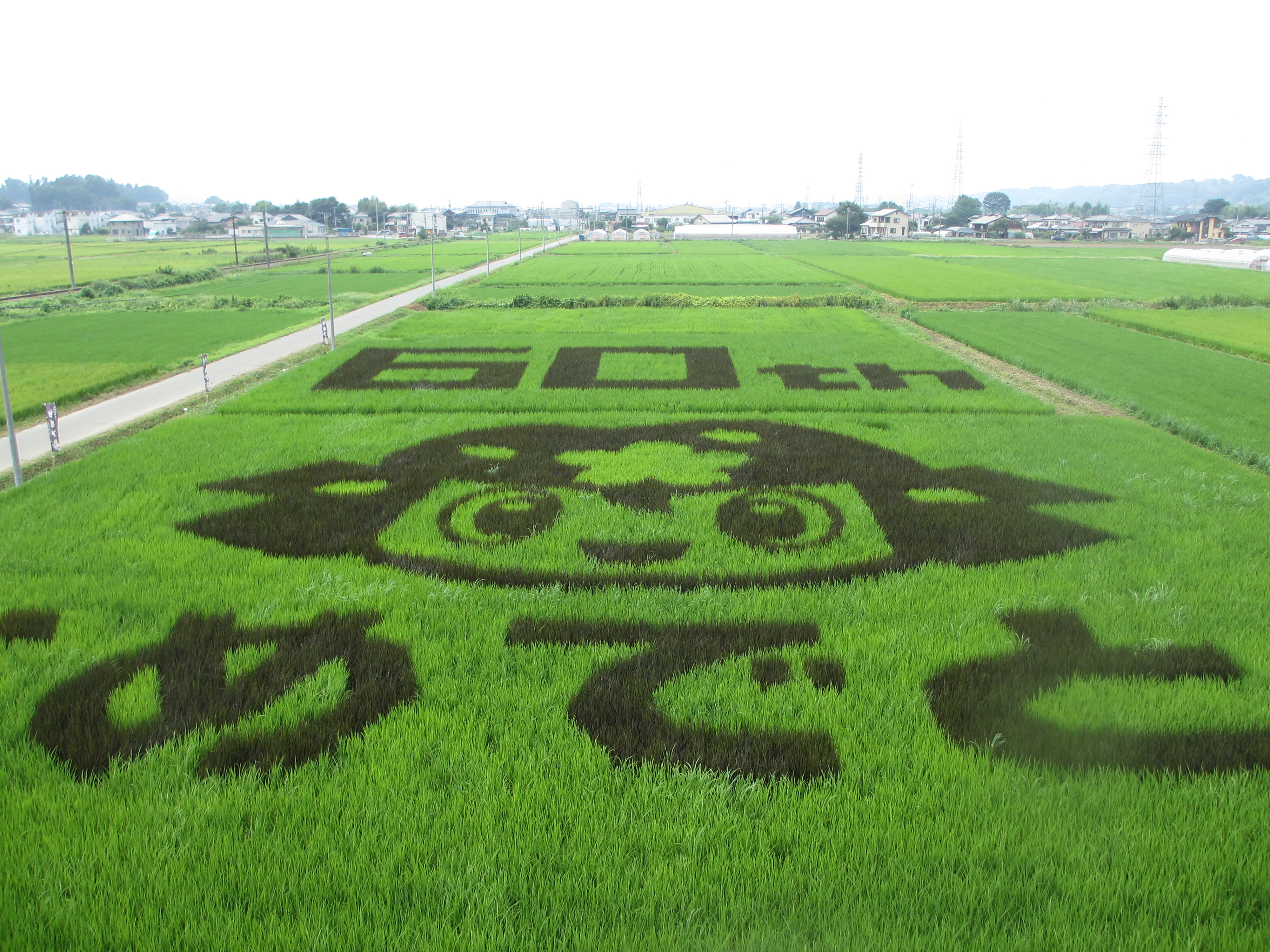 甘楽町 甘楽町発足60周年記念事業 田んぼアート