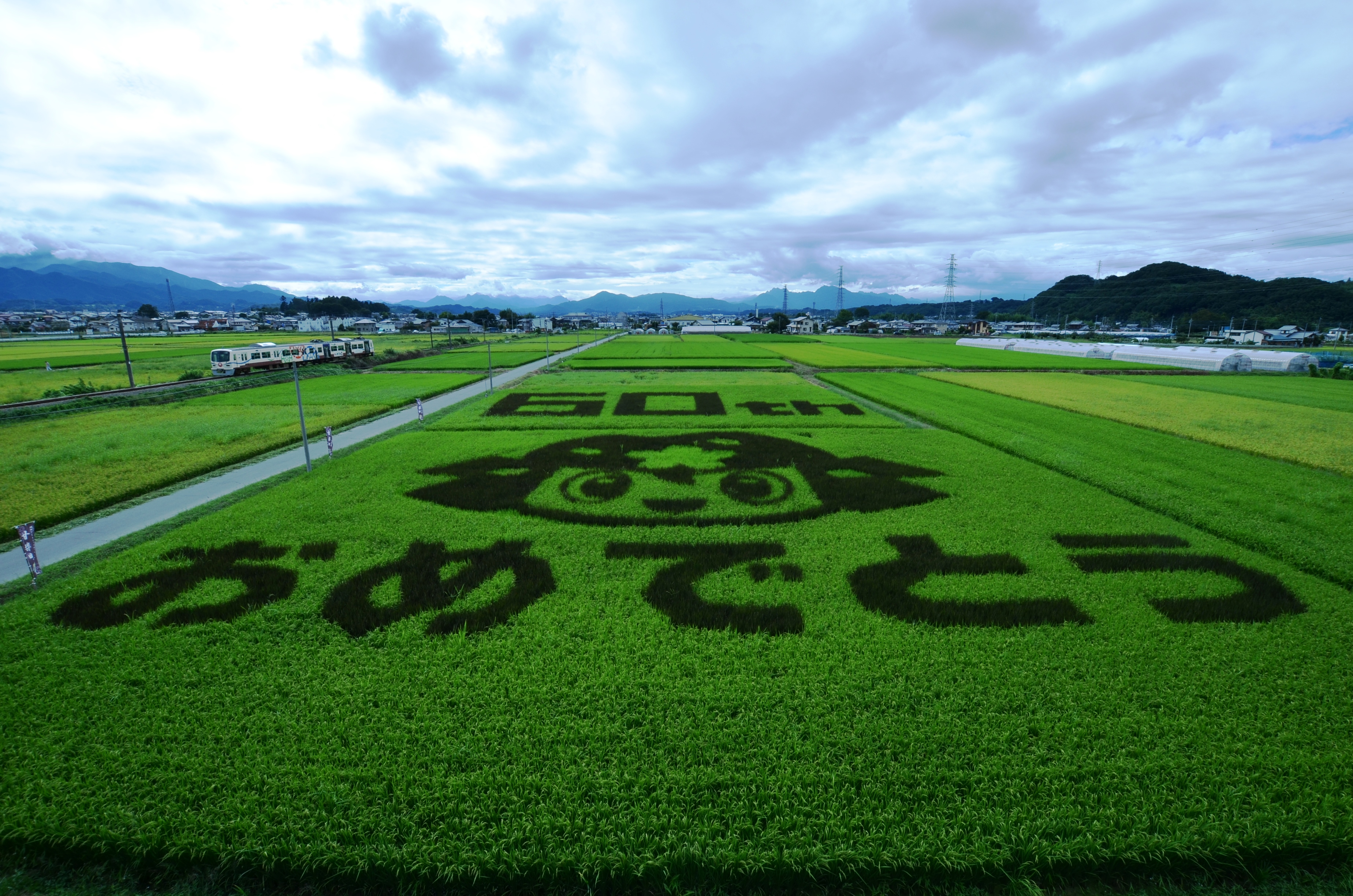 甘楽町 甘楽町発足60周年記念事業 田んぼアート
