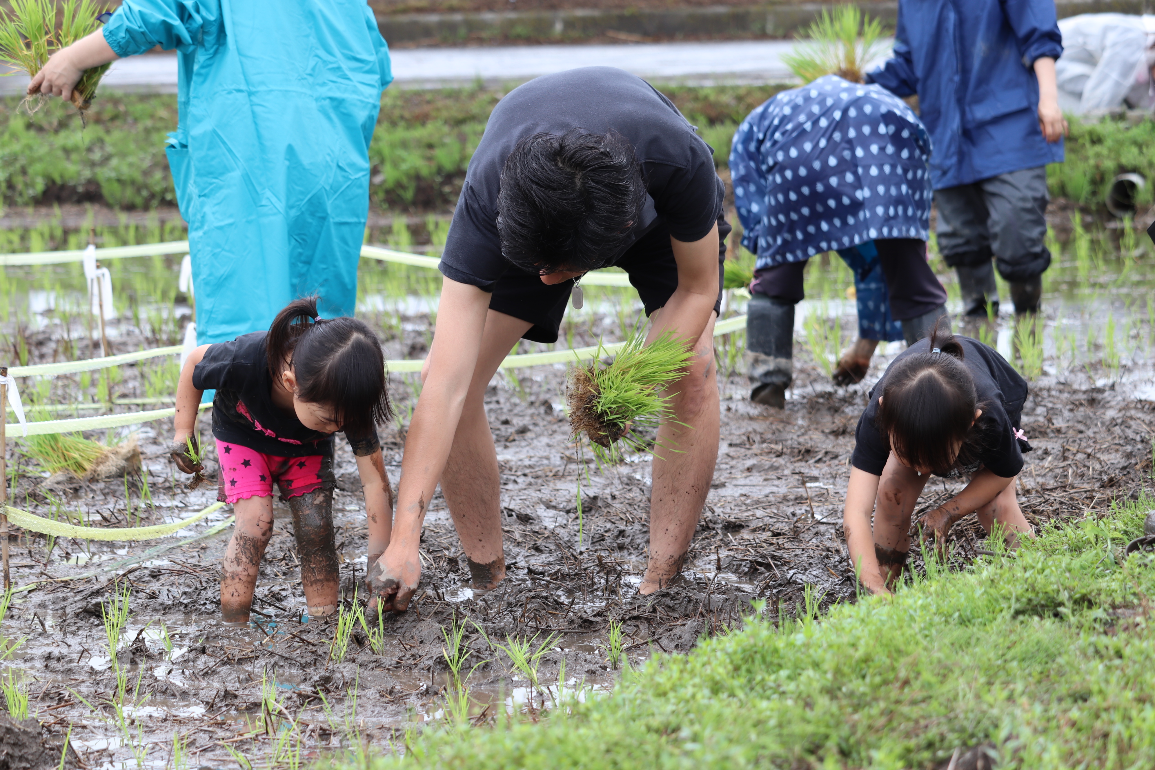 甘楽町 甘楽町発足60周年記念事業 田んぼアート