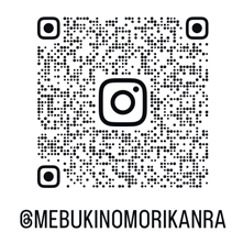 mebuki.png