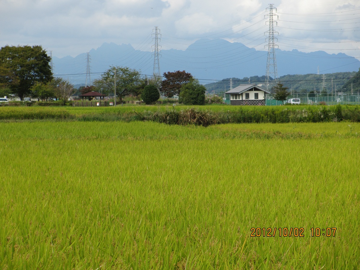 2012.10.2稲穂と妙義山