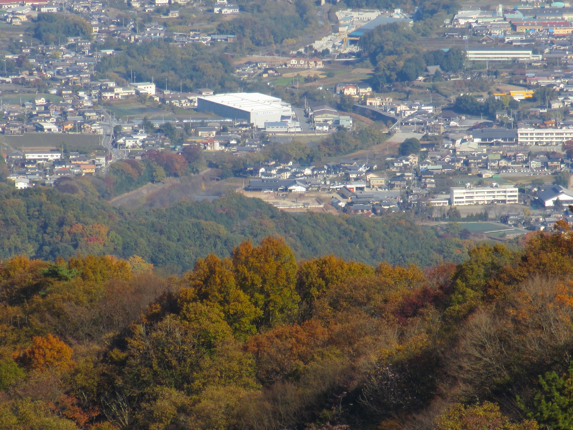 2012.11.14尾根からの楽山園