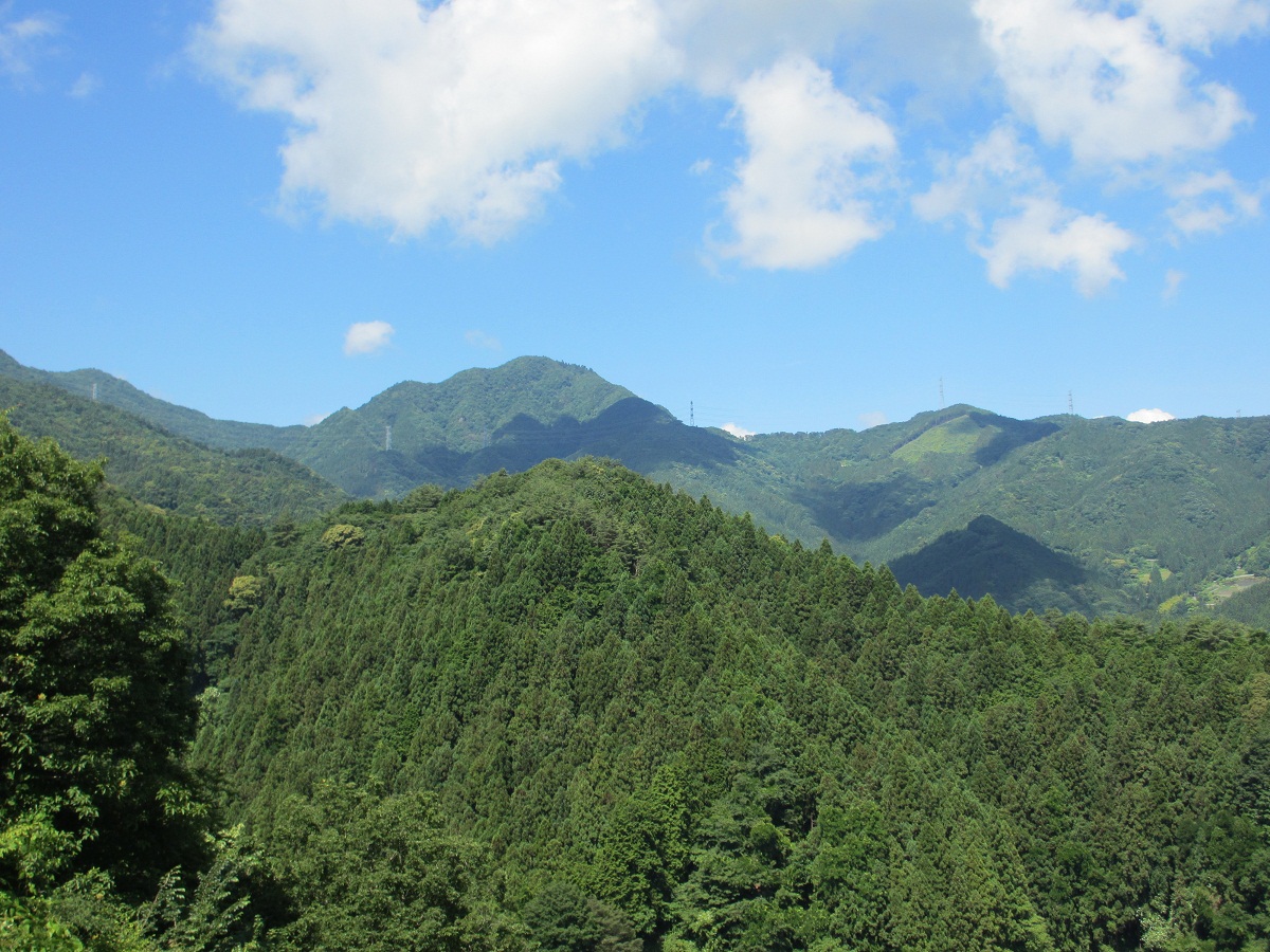 2012.7.4稲含山を望む