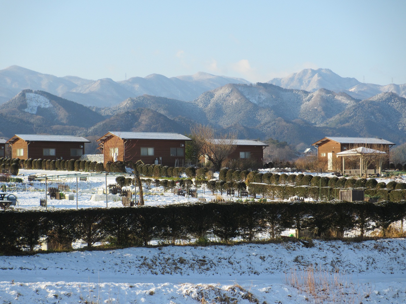 20130115農園と稲含山