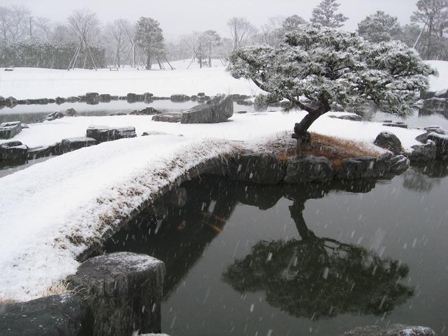 昆明池の鯉