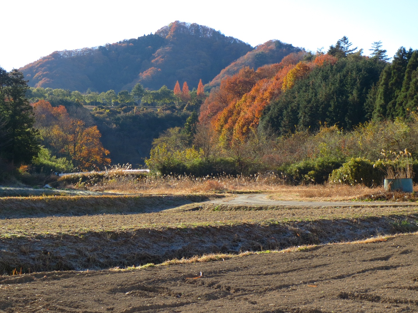 2013.11.29天引城山