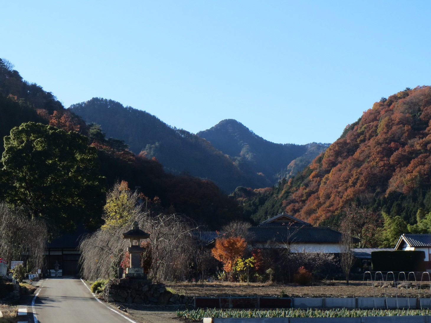 2013.11.29天引鳥屋