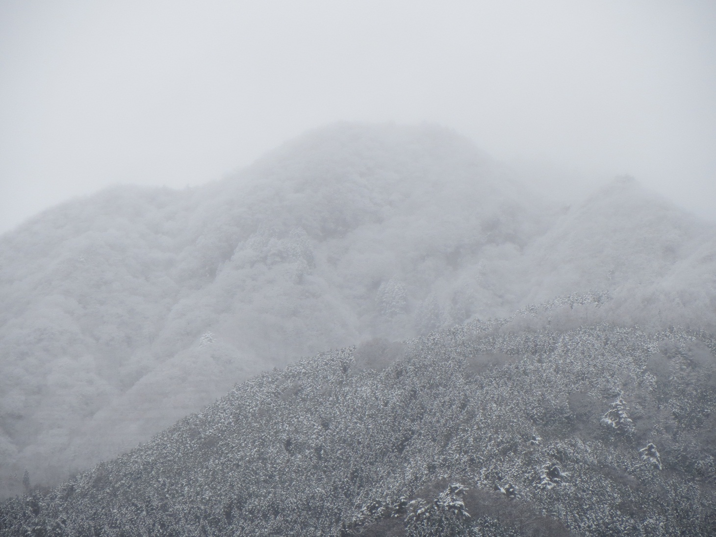 2013.12.19稲含山4