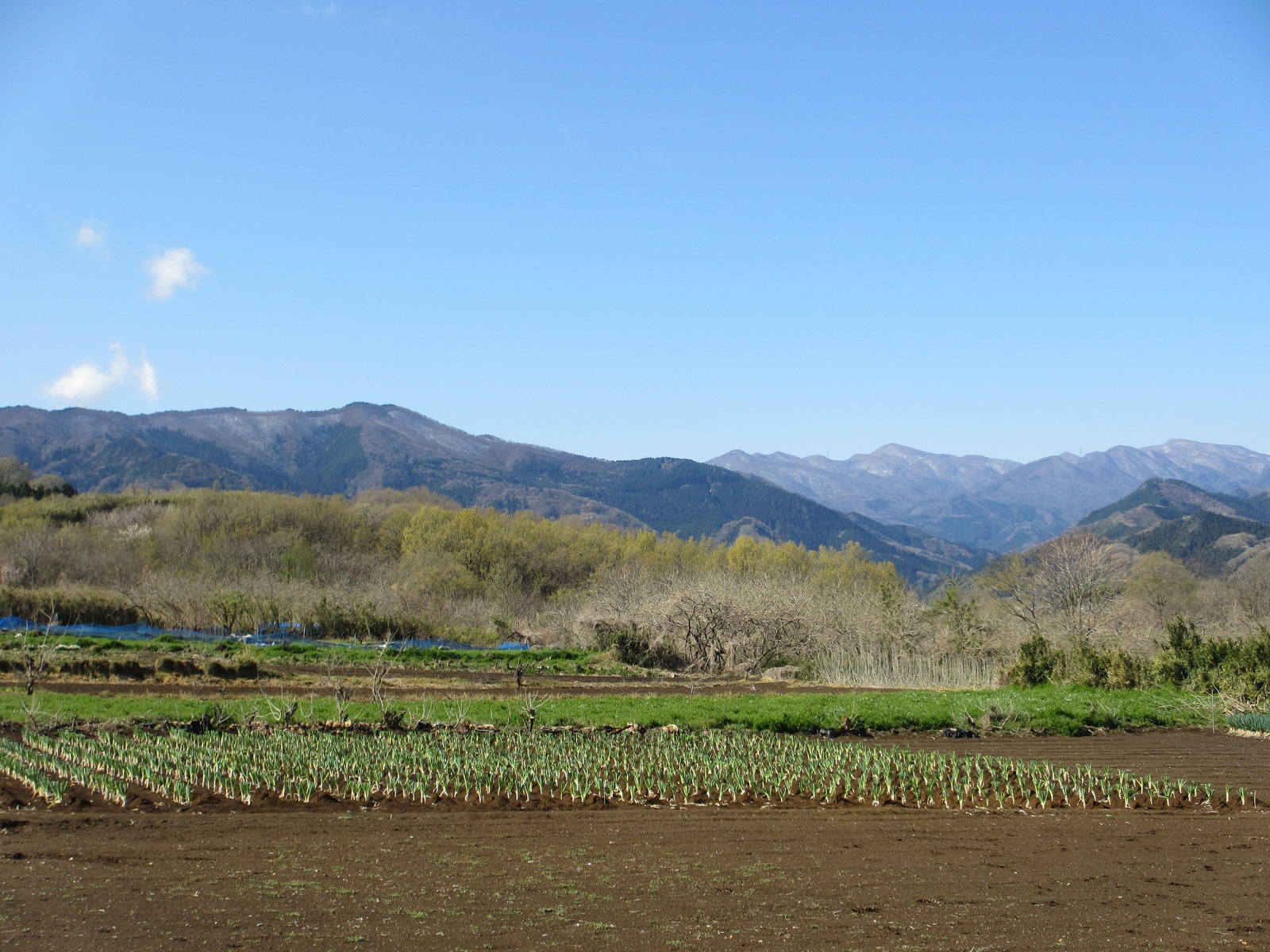 2013.4.11熊倉山