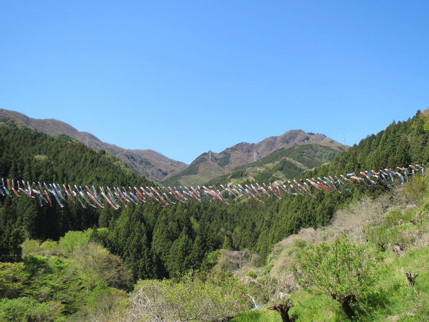 2013.5.2那須のこい、稲含山