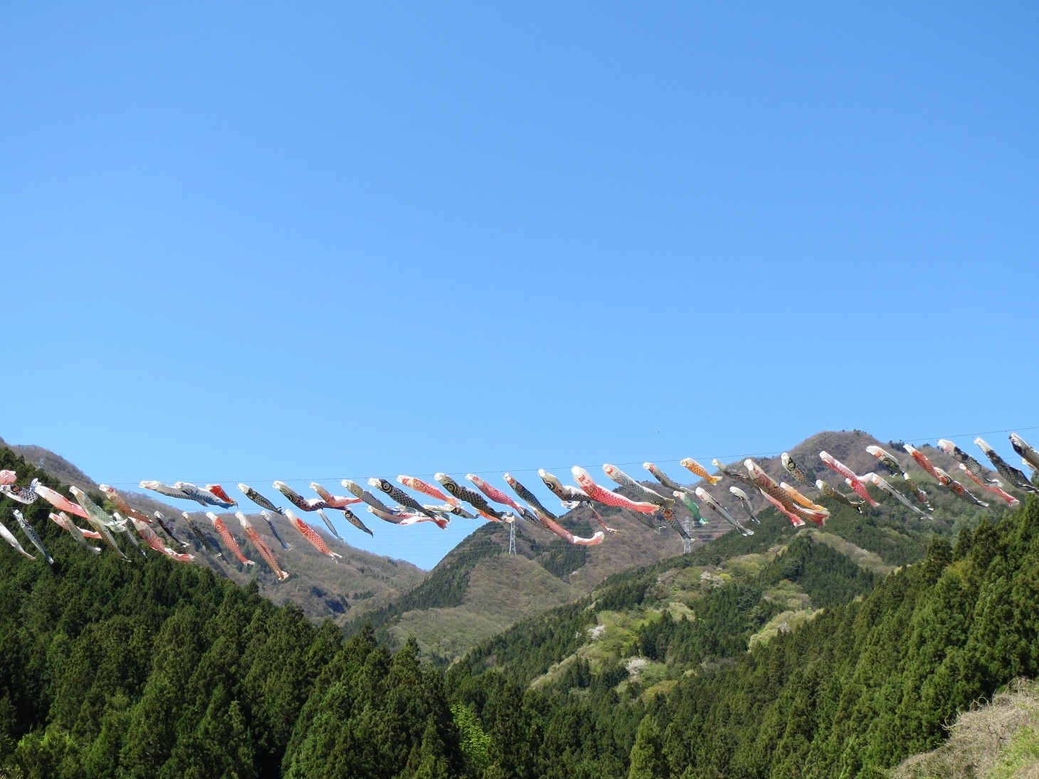 2013.5.2那須のこい、空