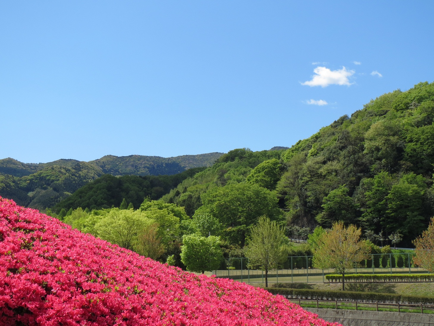 2013.5.2小幡総合公園より