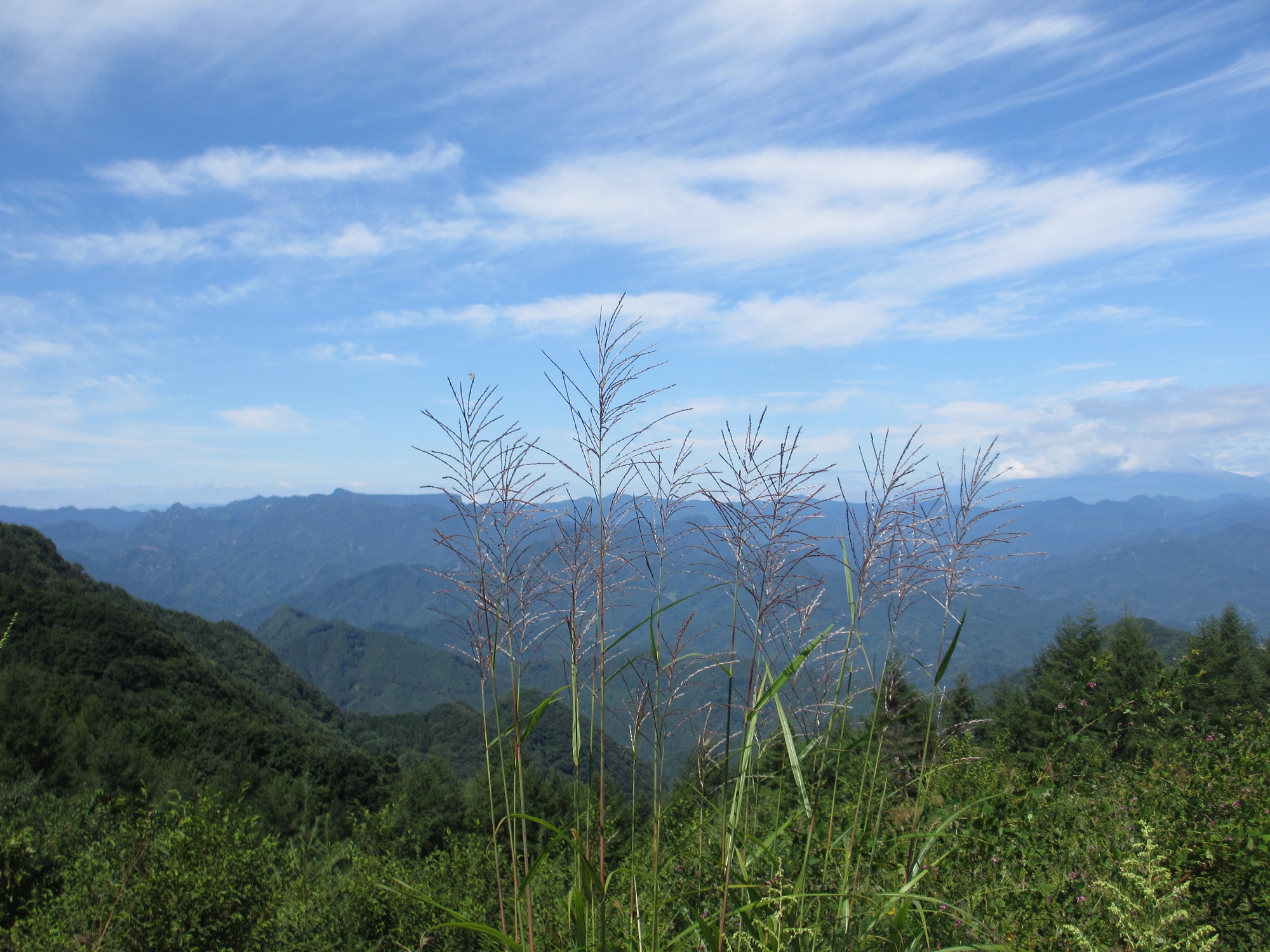 2013.8.28風景