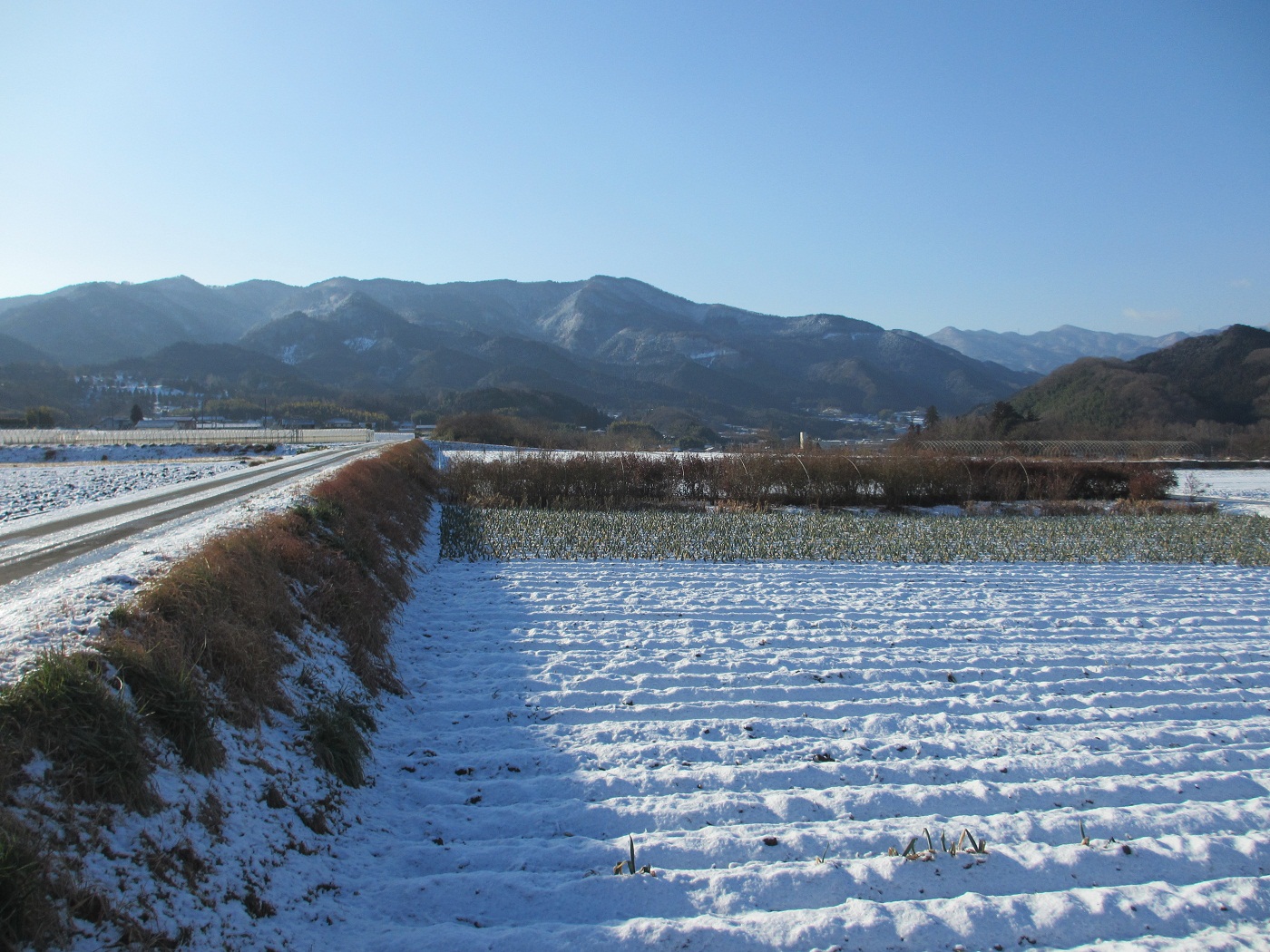 20130115熊倉山