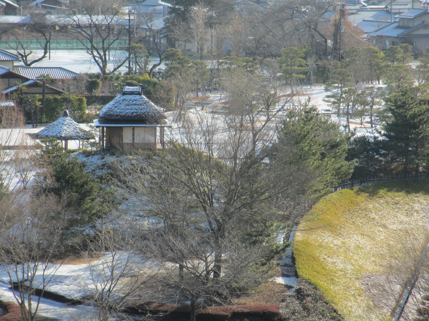 20130115楽山園