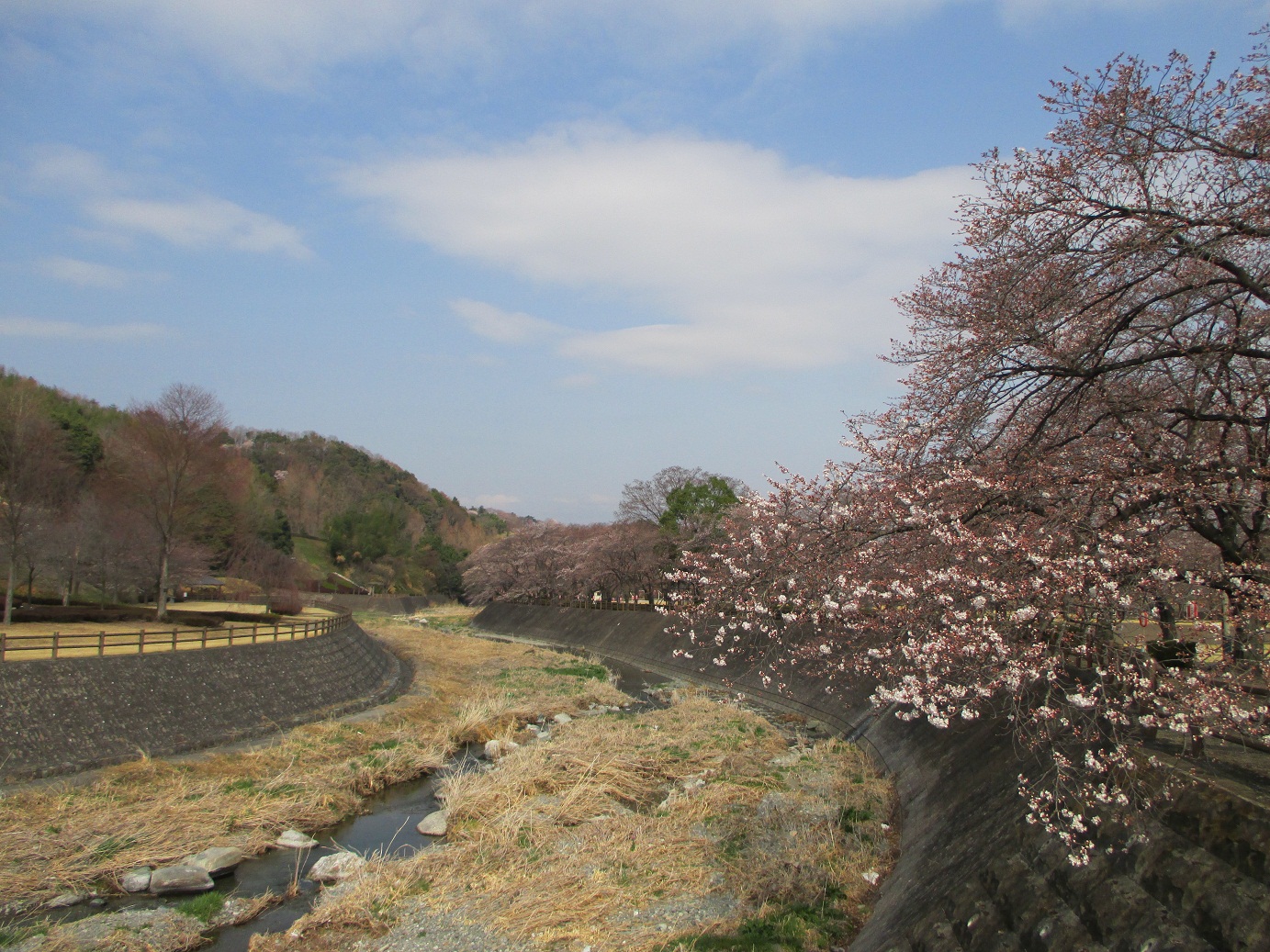 2014.4.2公園1