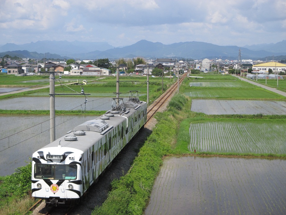 2014.7.1田んぼ2