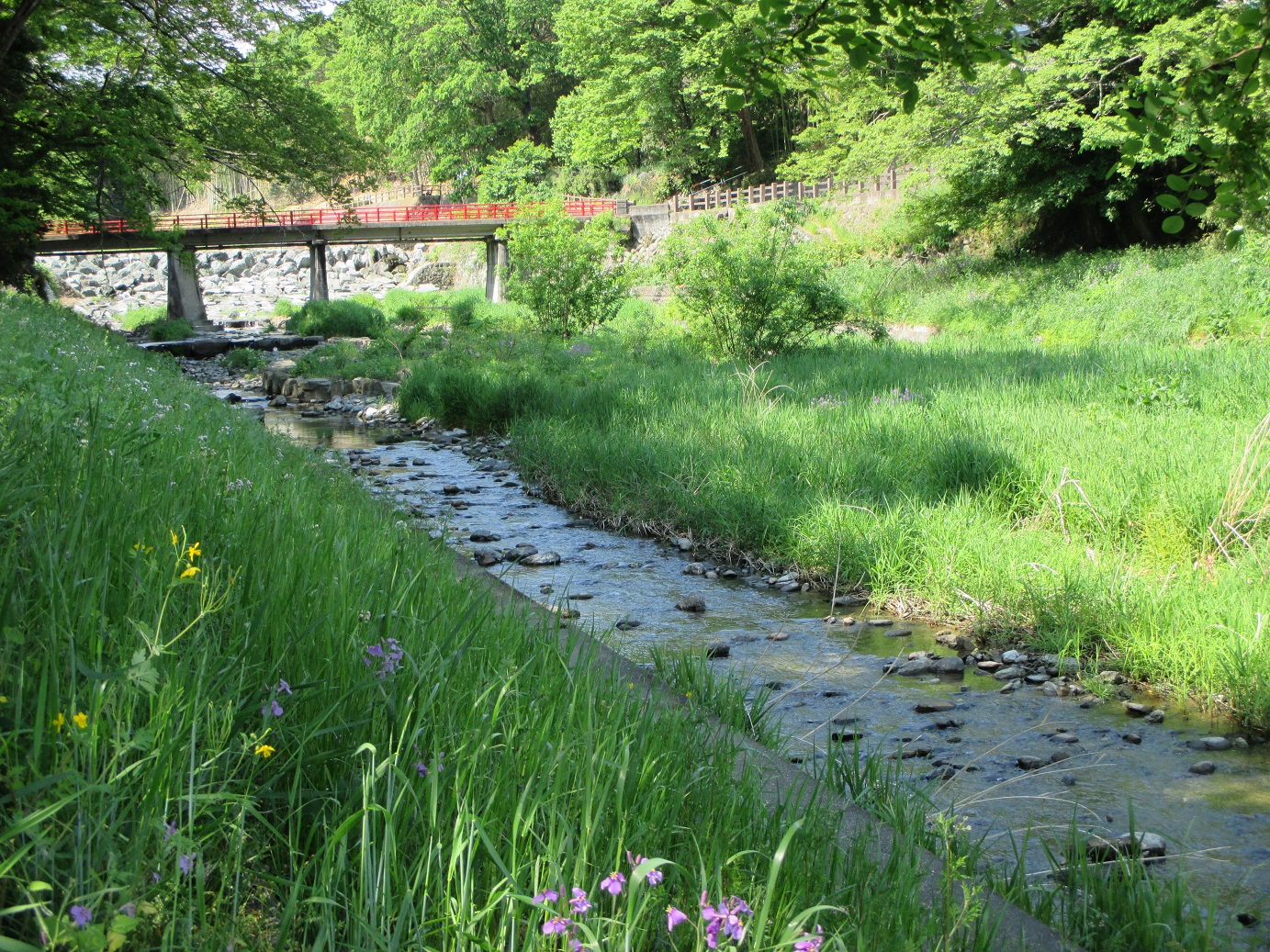 2014.5.9裏門橋