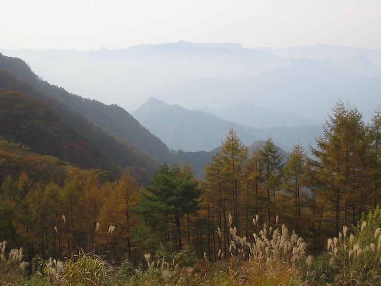 「鳥居峠」から西を眺める