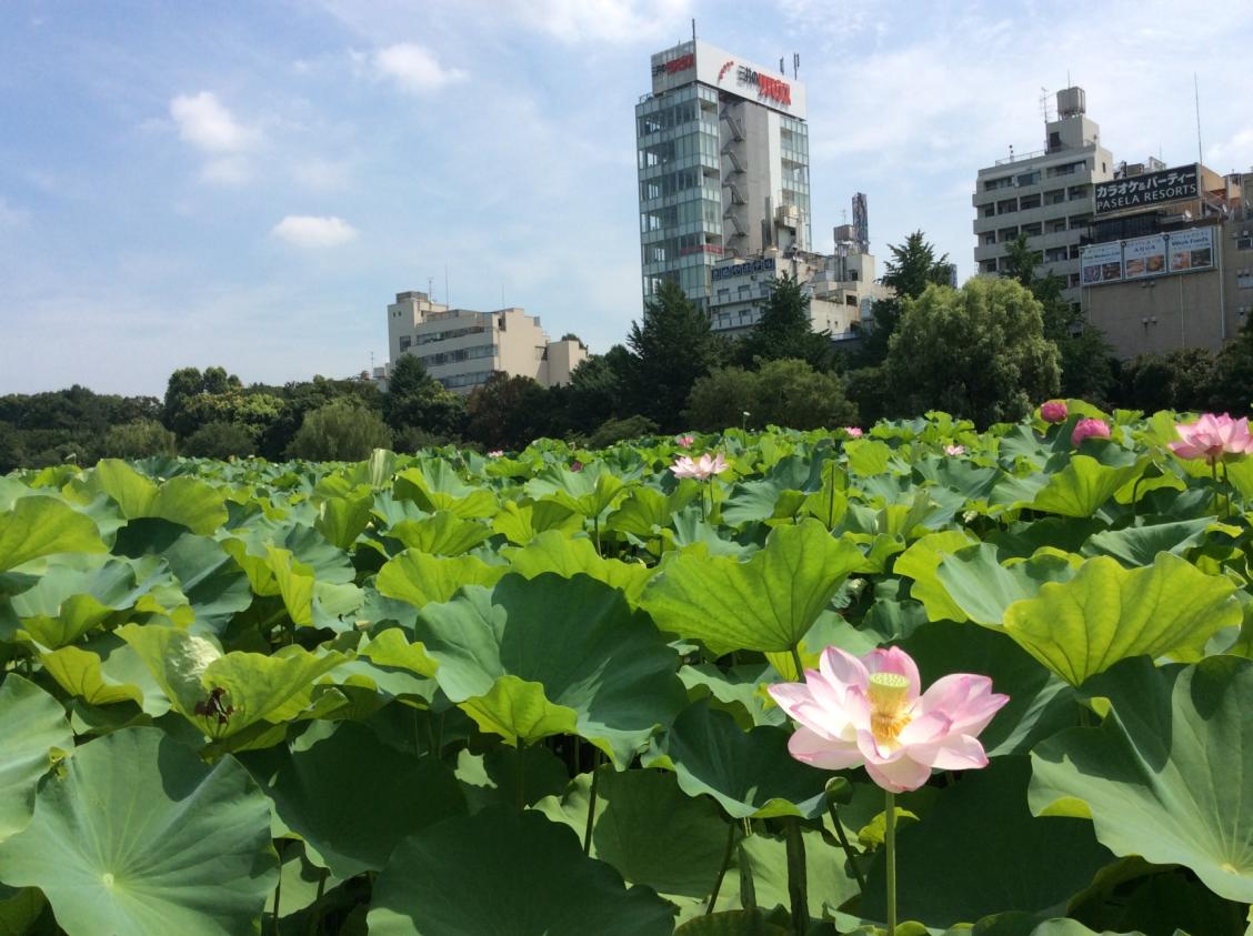 上野見学2