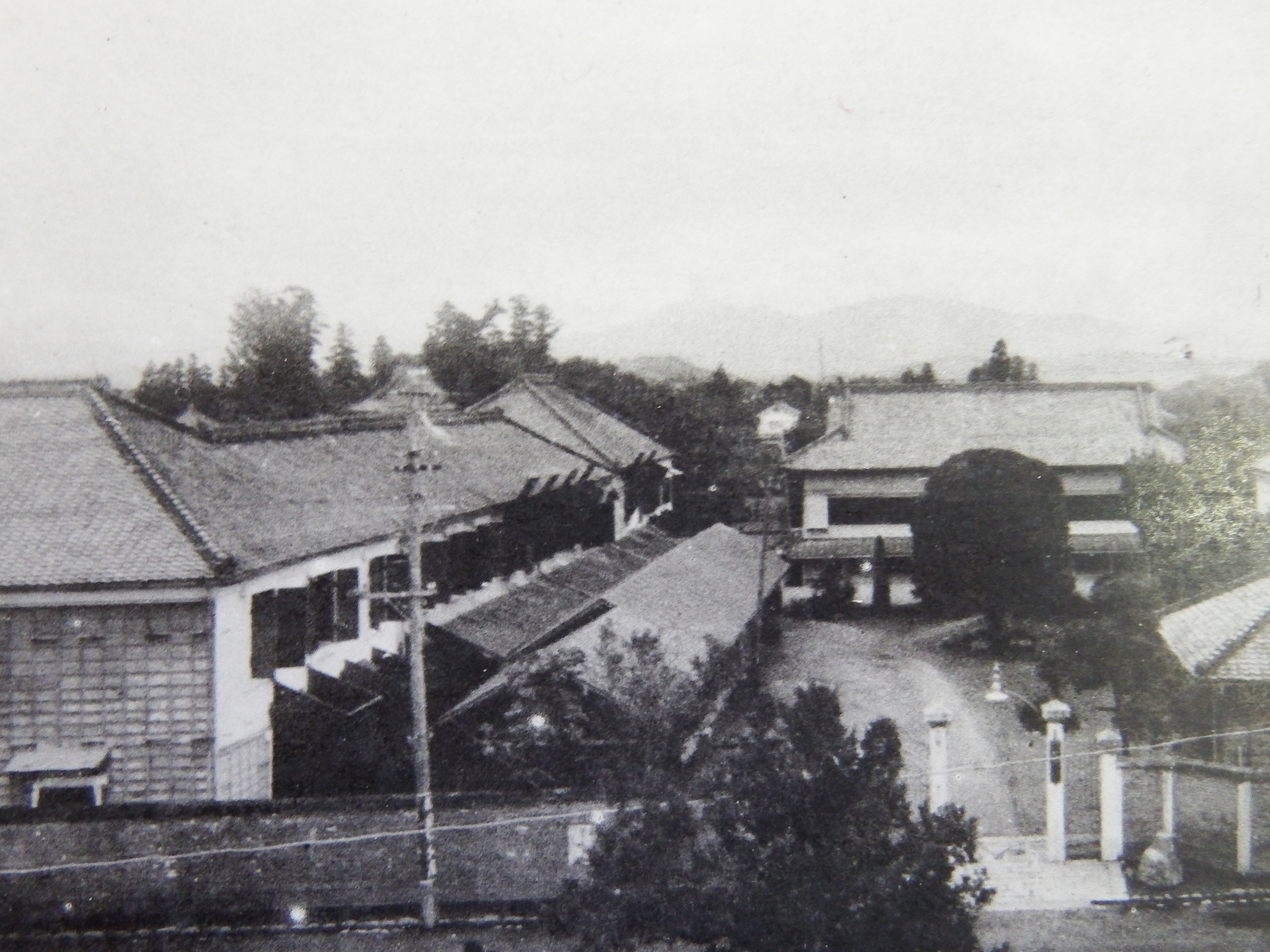 150601-4.JPG