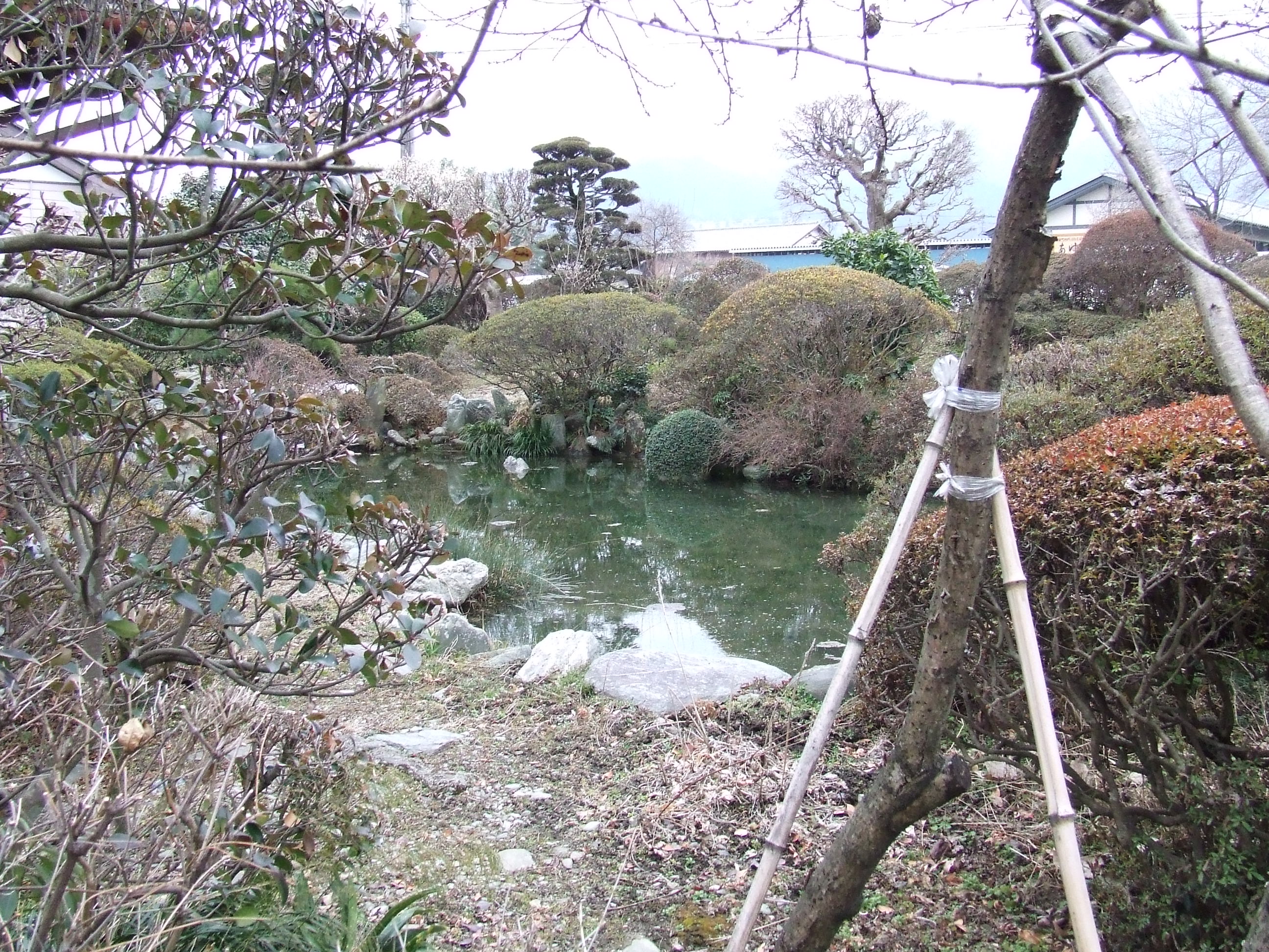 大奥の庭園（山田家）