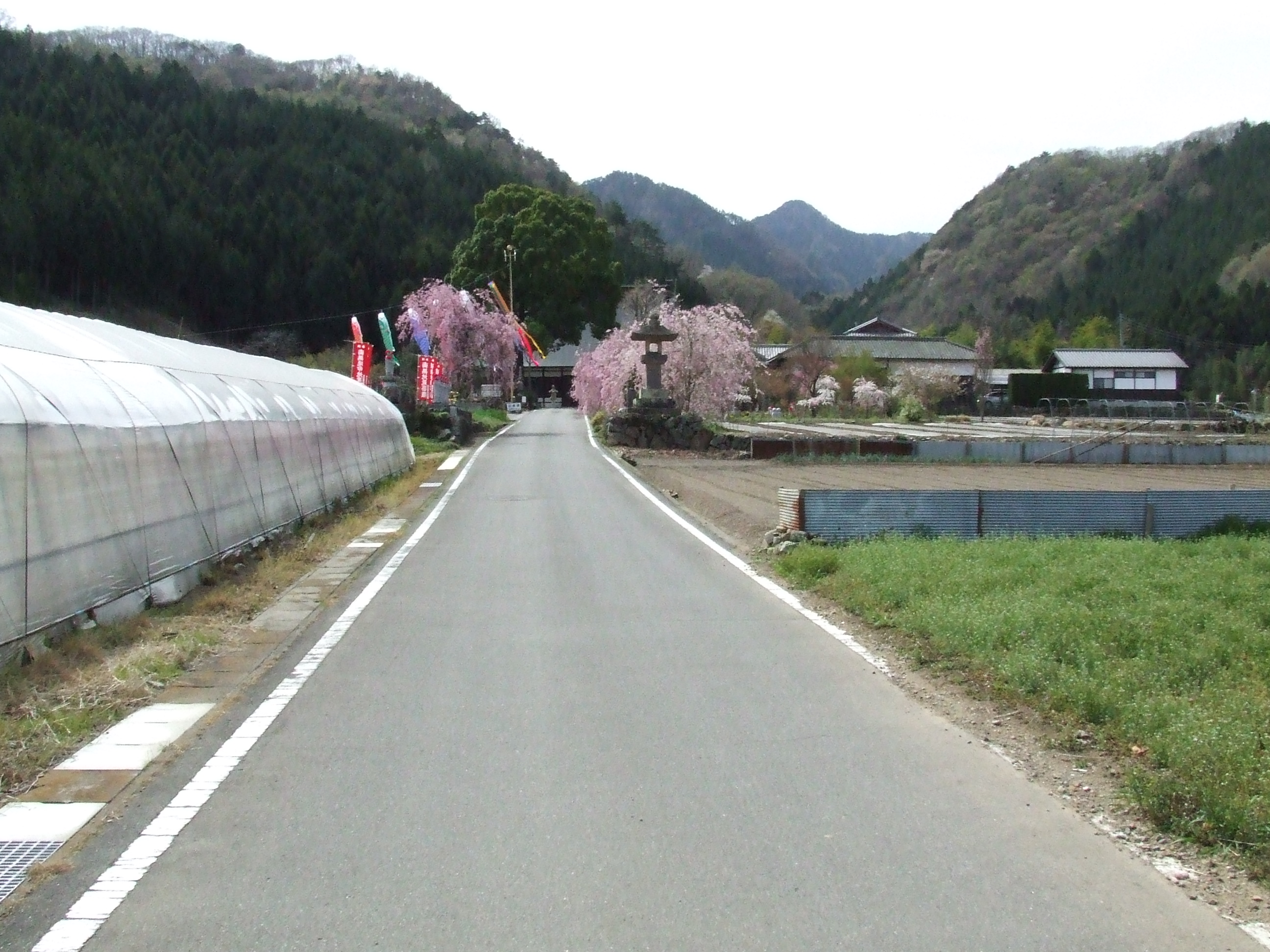 向陽寺の天井画