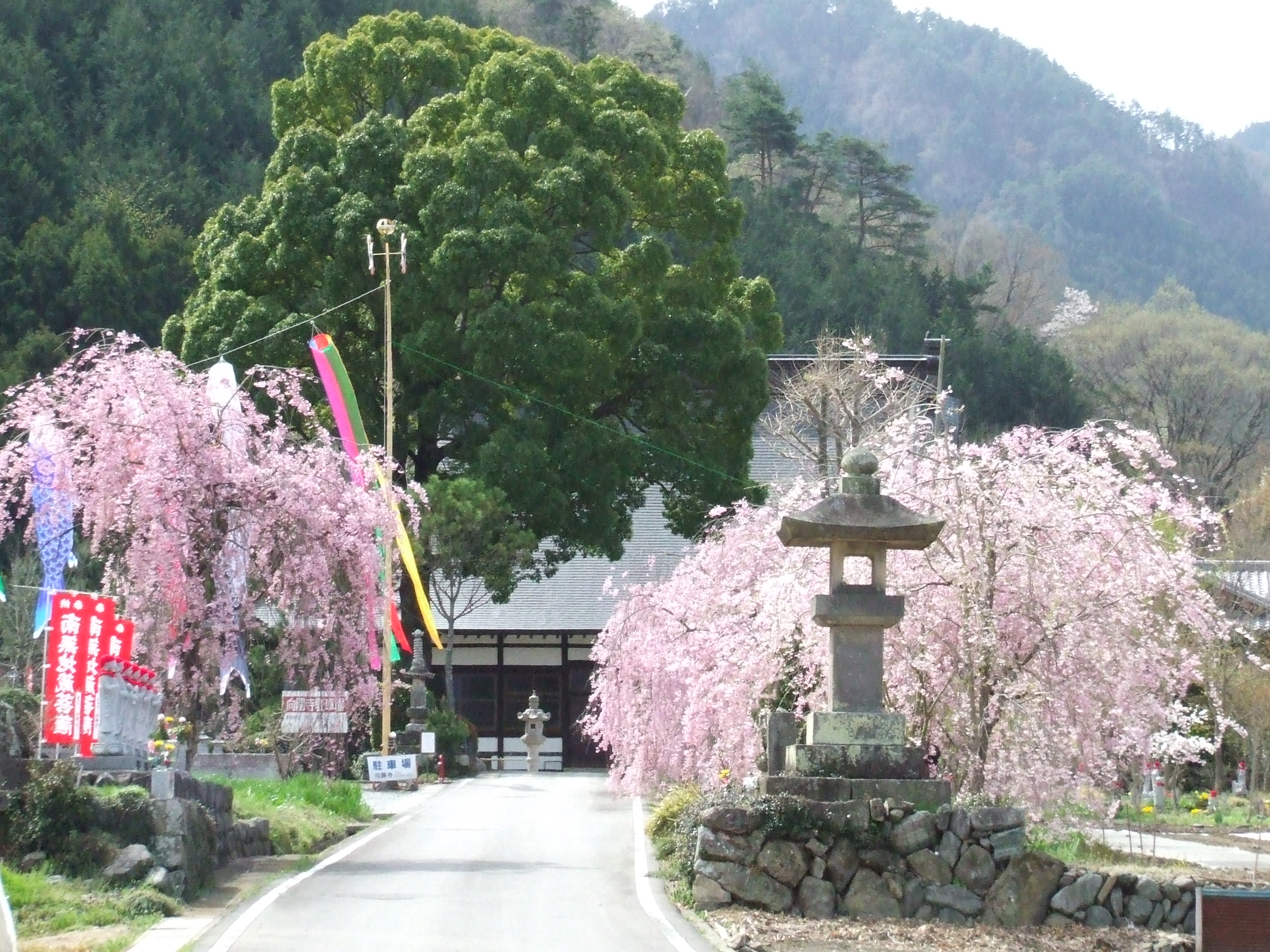 向陽寺の天井画