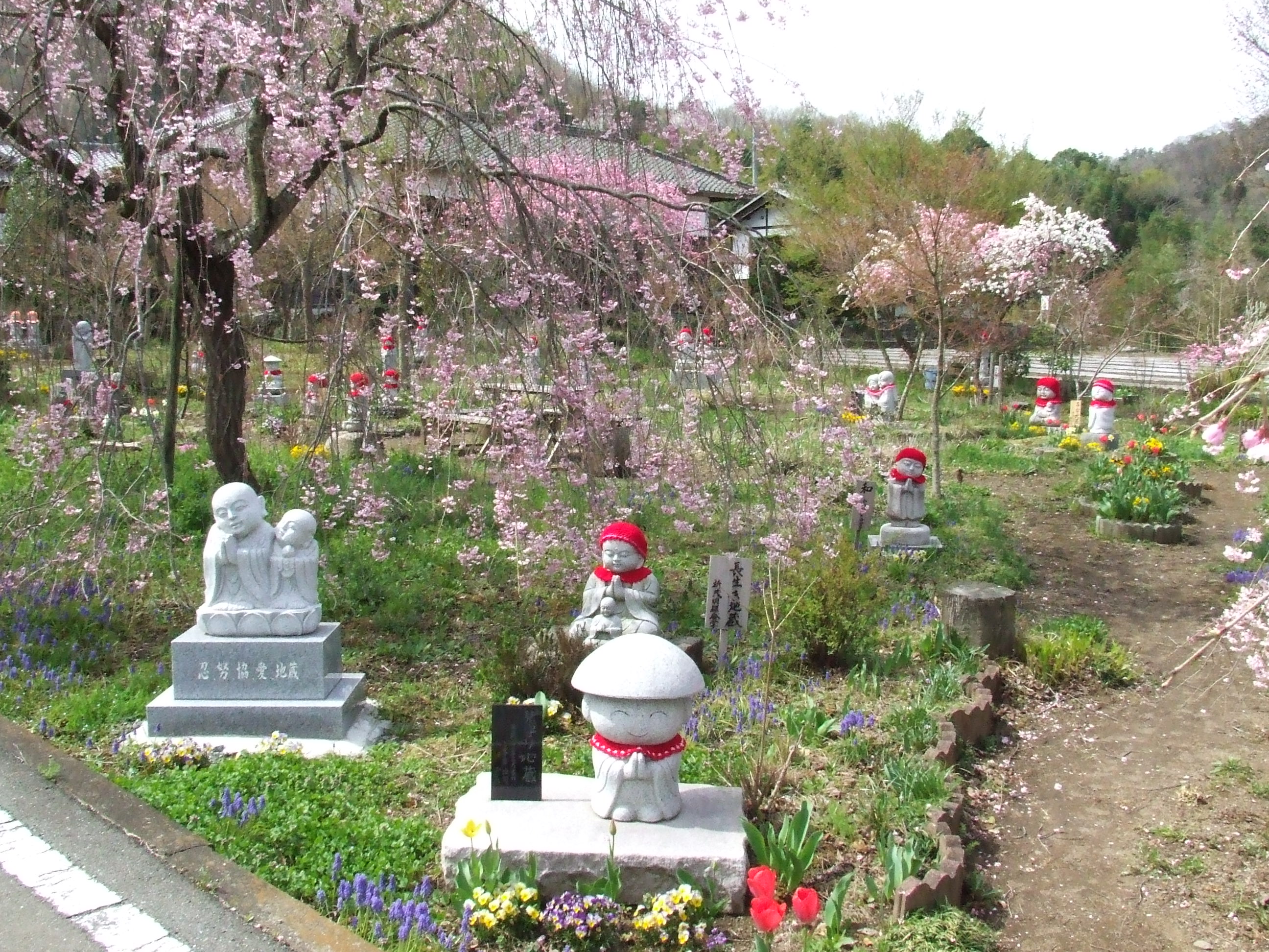 向陽寺の天井画