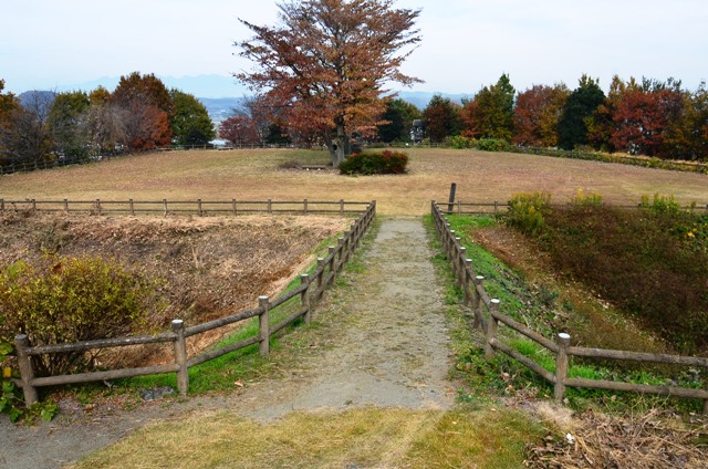 画像：麻場城址