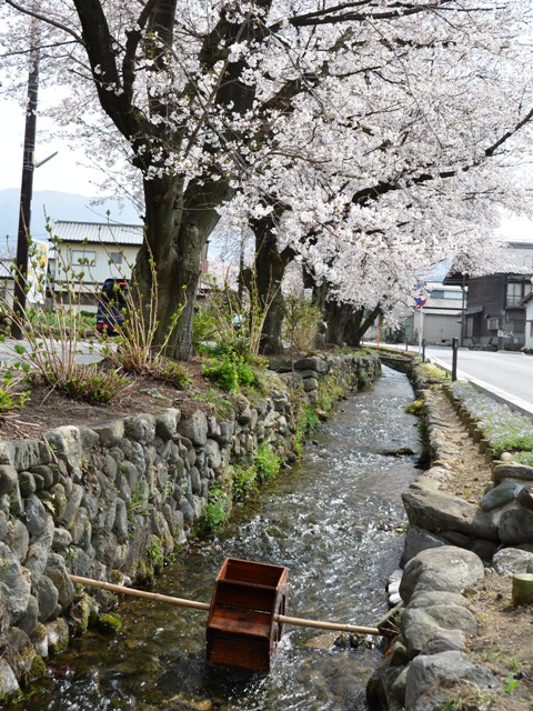 画像：雄川堰（小堰・石橋含む）