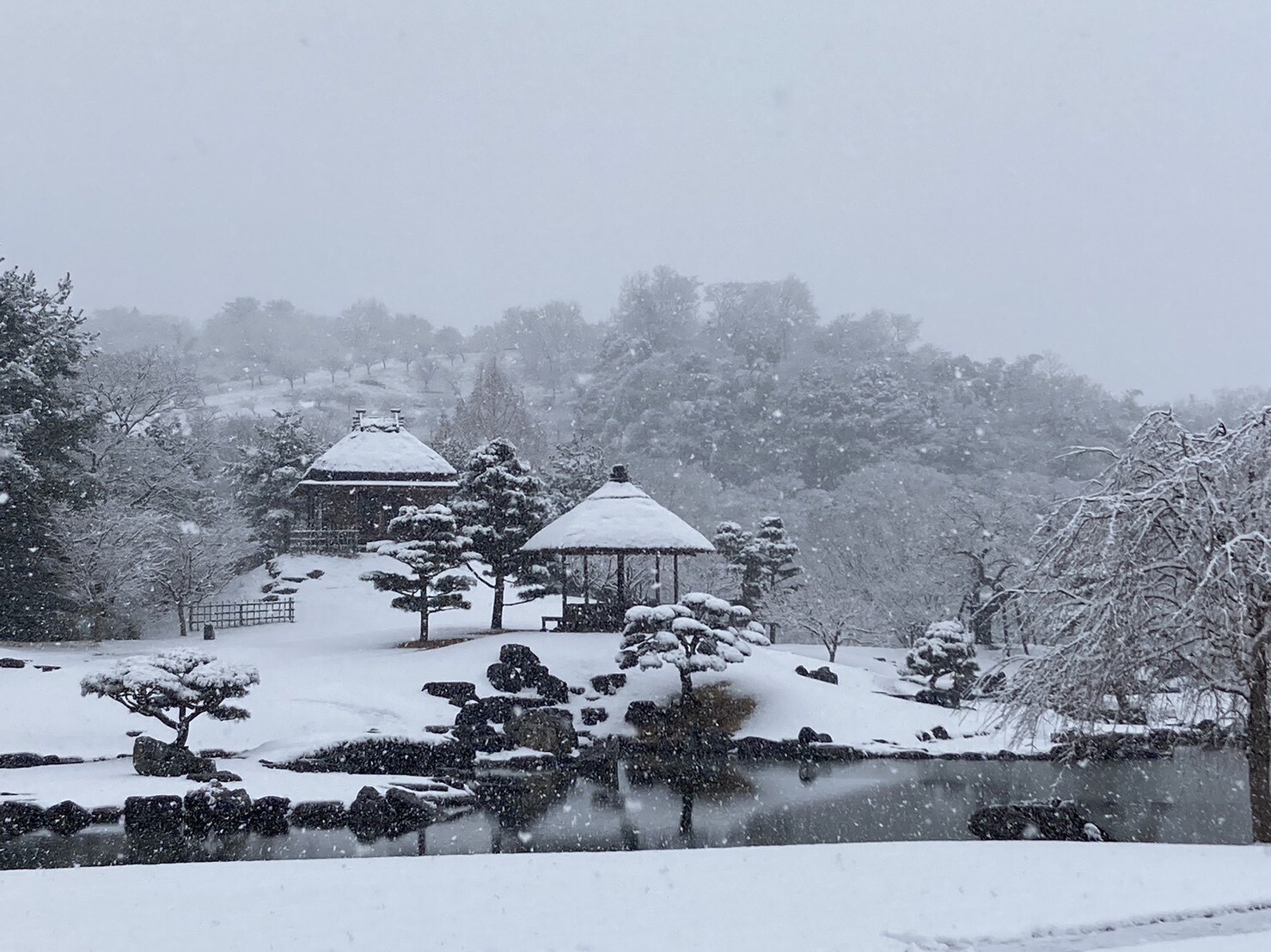 2023雪の楽山園
