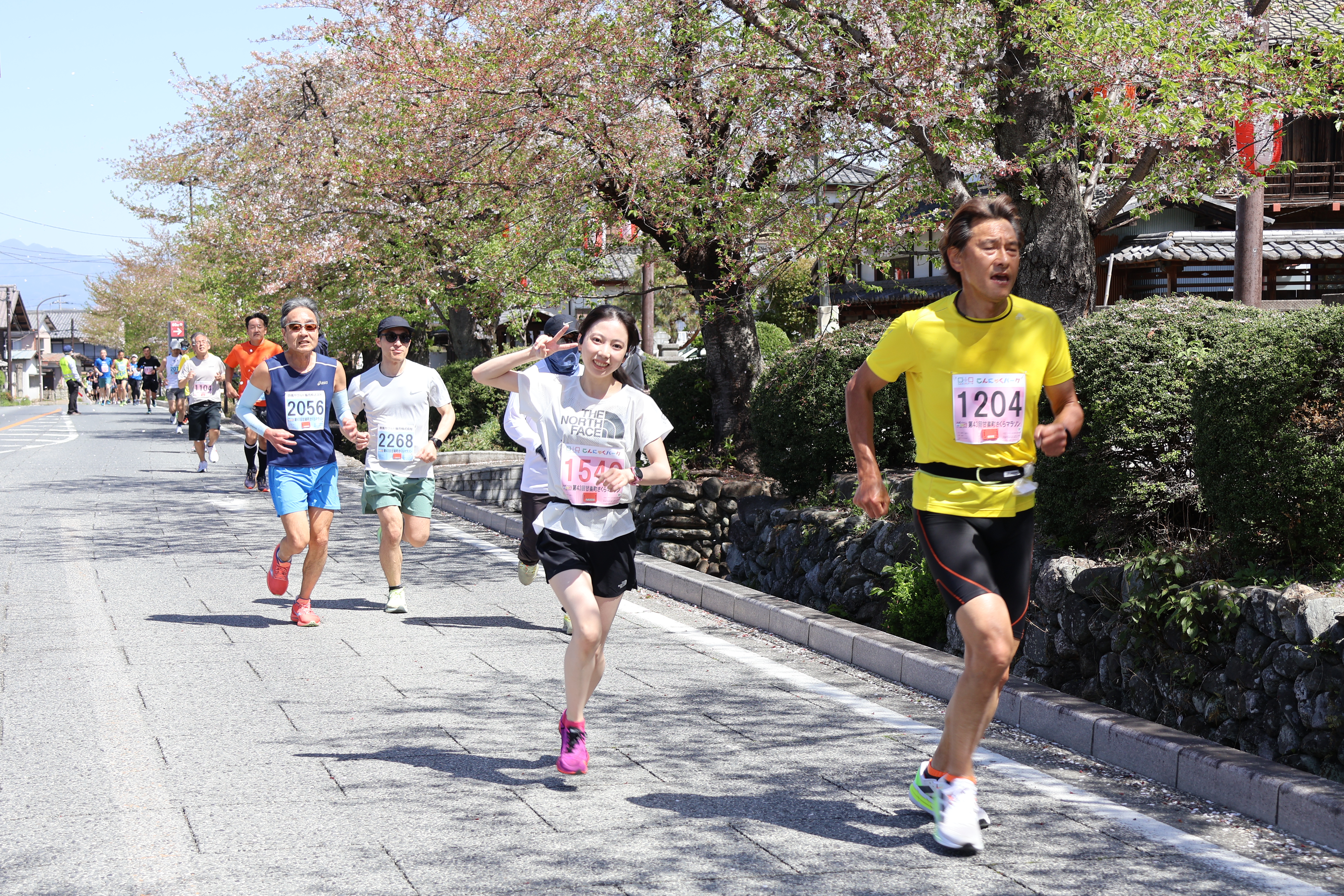 桜並木を走るランナー