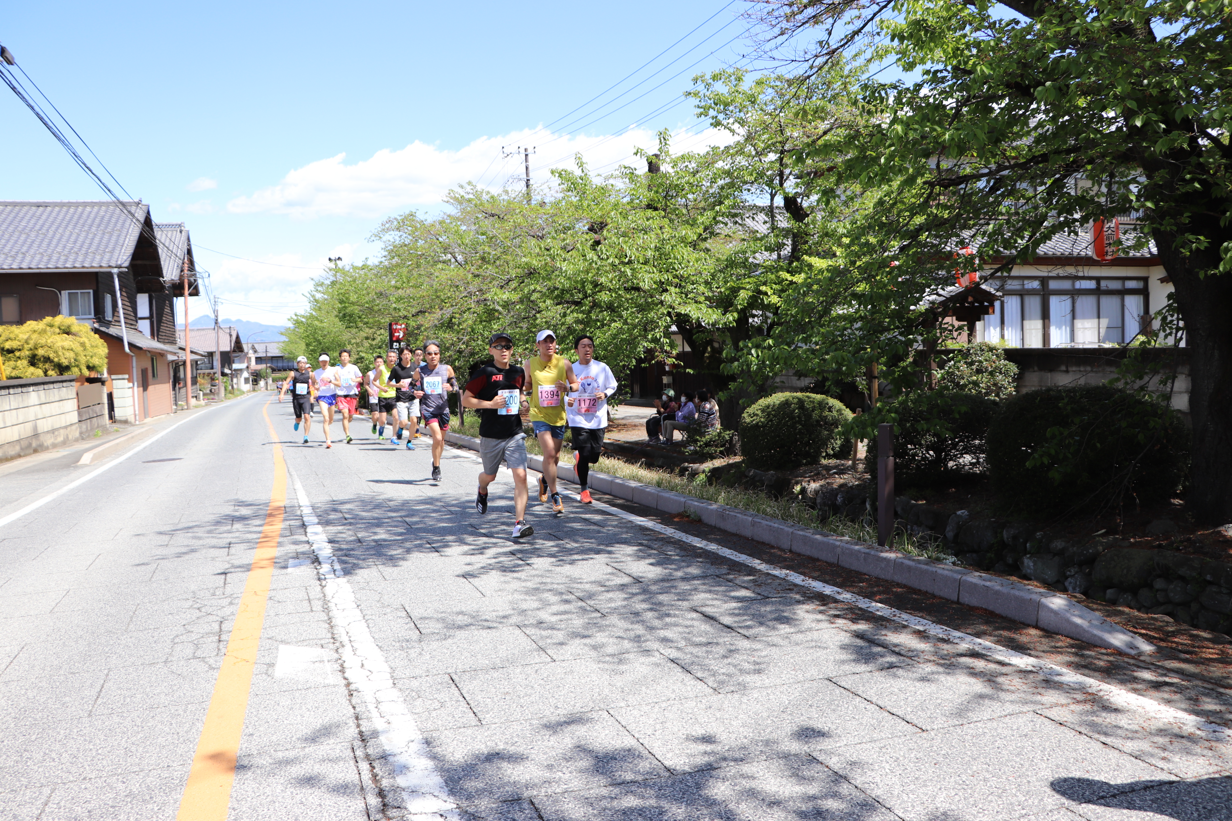 桜並木を走るランナー