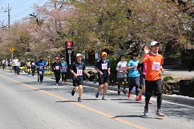 さくら並木を走るランナーのみなさん