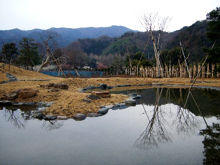 泉水と水分け石2