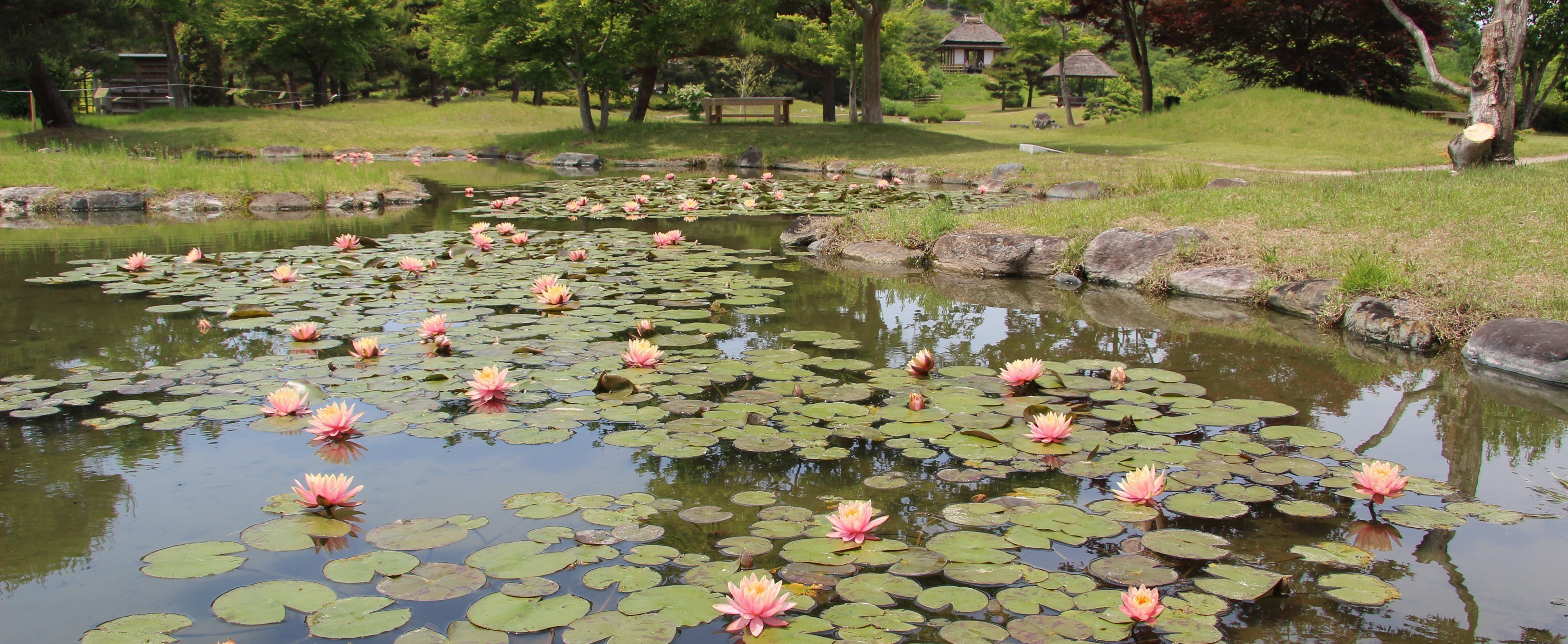 春の楽山園